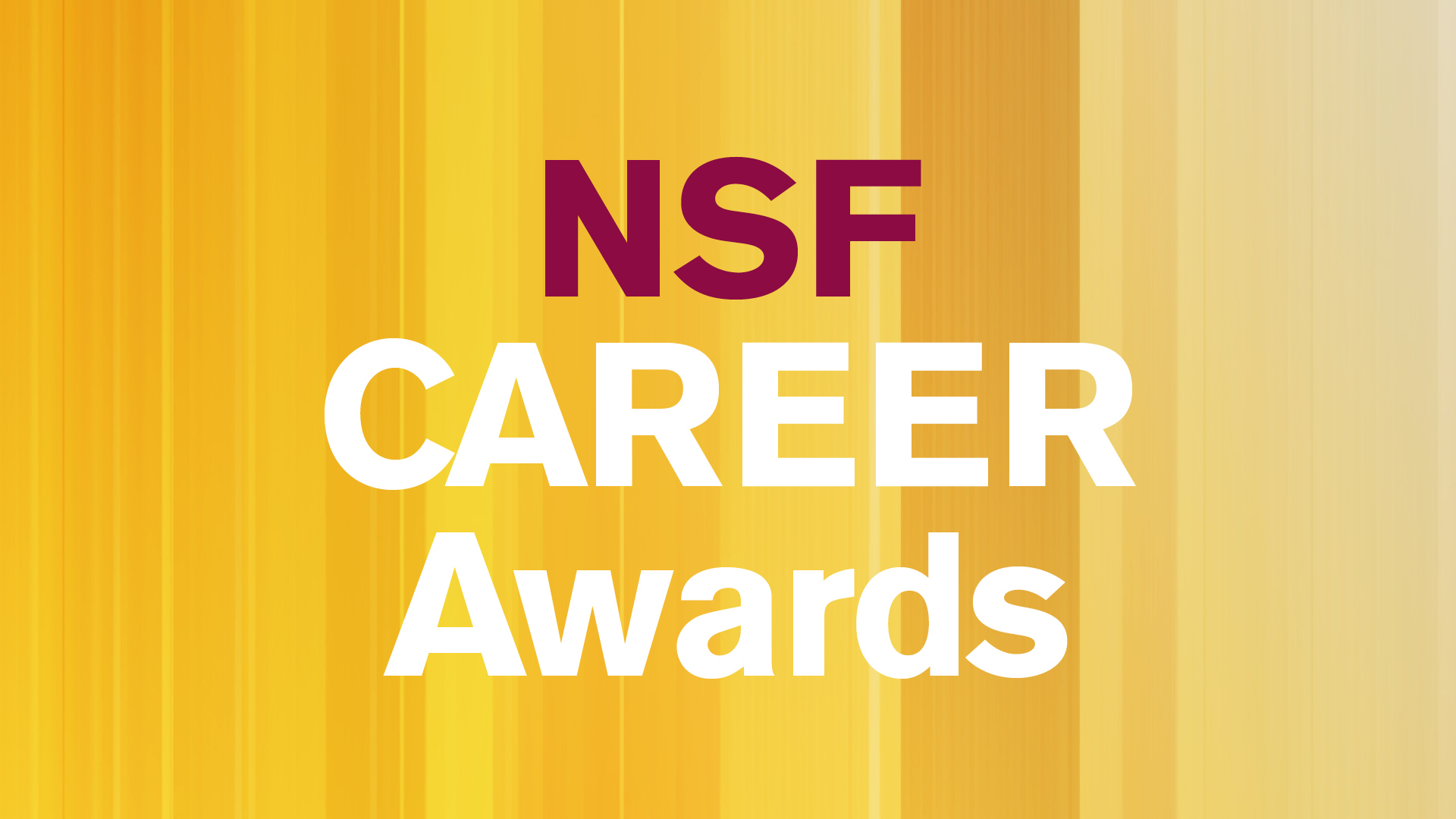NSF CAREER Awards